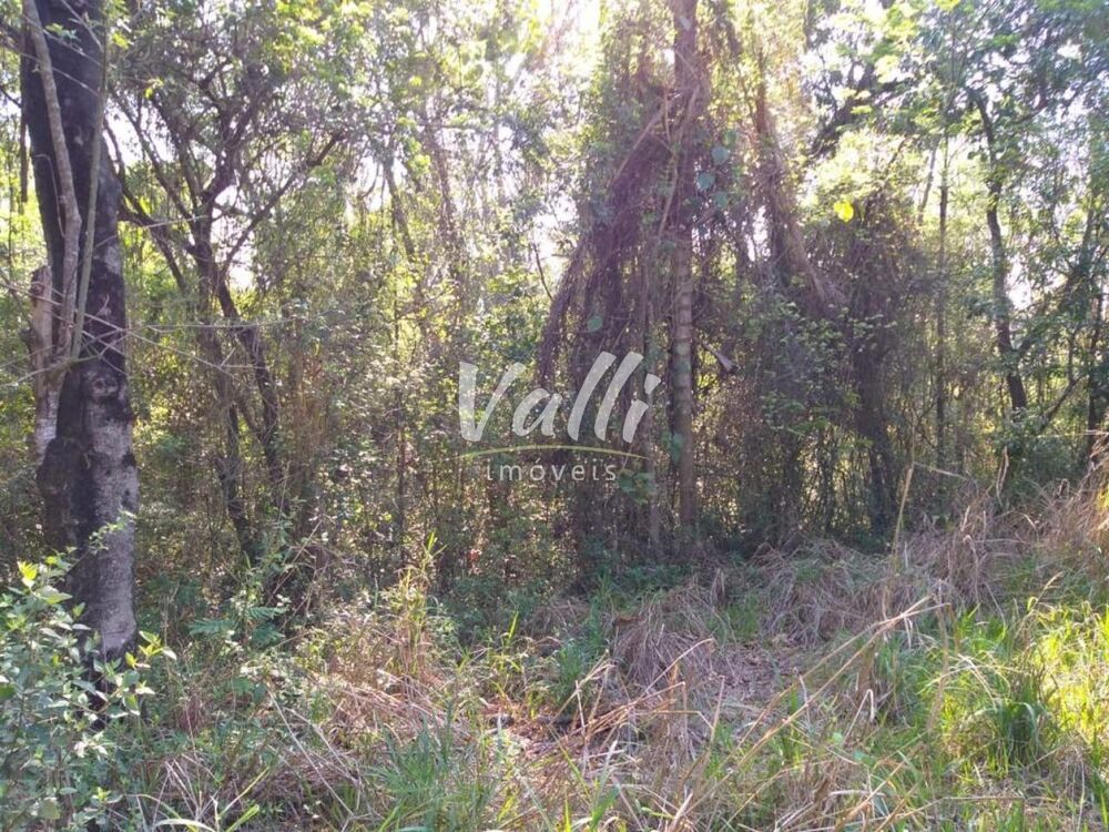 Indústria, 64000 m² - Foto 4