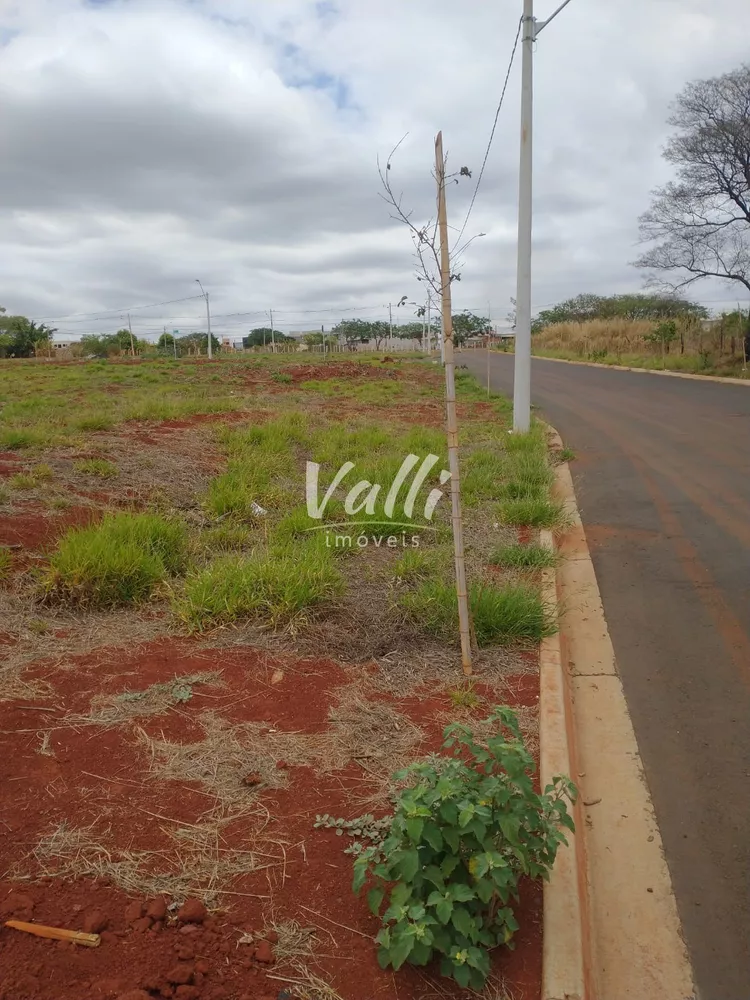 Terreno, 250 m² - Foto 3