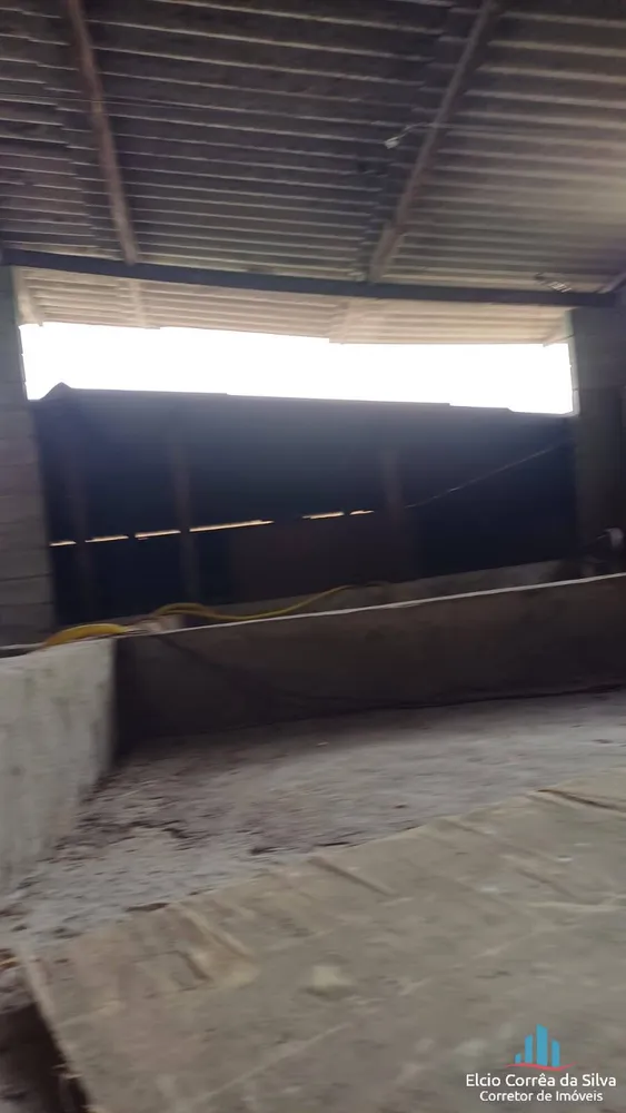 Casa, 4 quartos, 300 m² - Foto 1