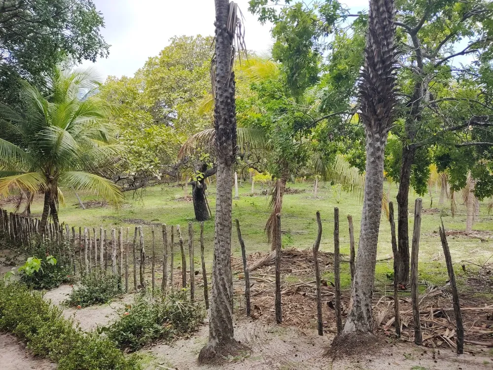 Terreno, 2850 m² - Foto 10