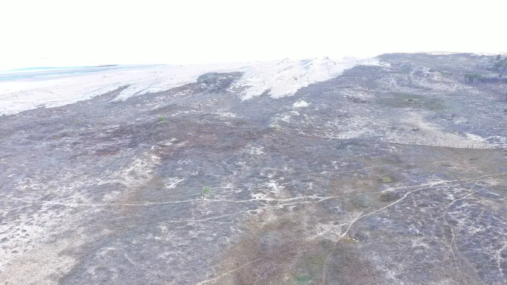 Terreno, 6000 m² - Foto 15