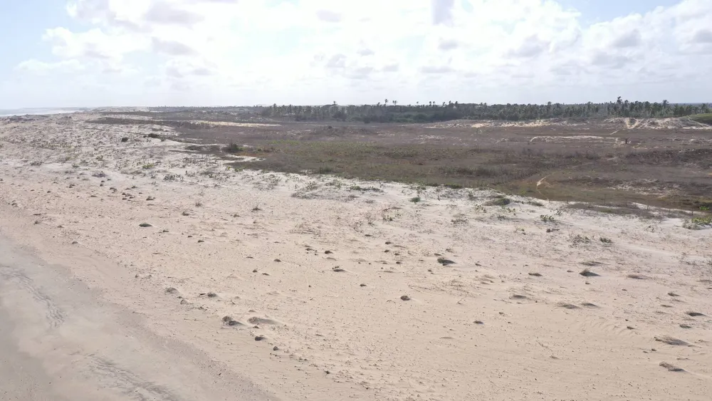 Terreno, 6000 m² - Foto 12