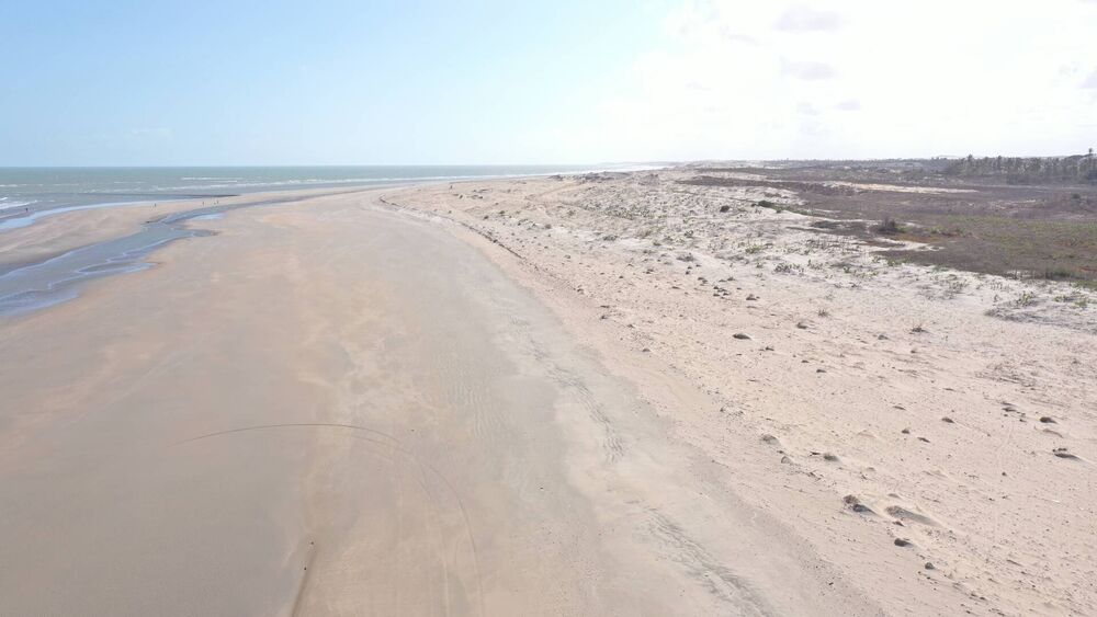 Terreno, 5 hectares - Foto 10