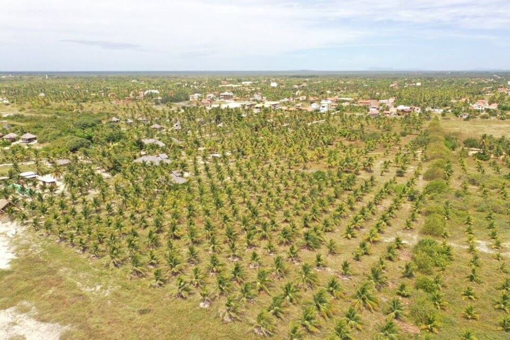 Terreno à venda, 1000m² - Foto 6