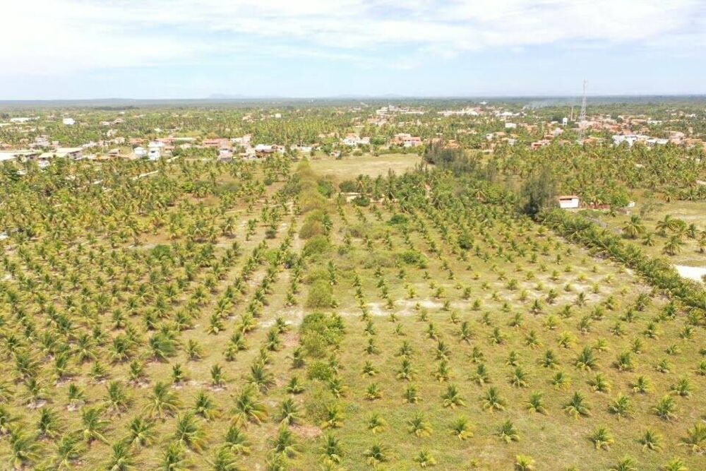 Terreno à venda, 1000m² - Foto 5