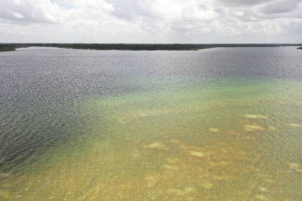 Terreno, 1000 m² - Foto 4