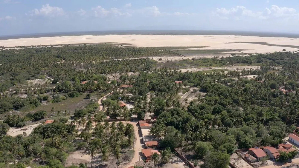 Terreno, 4 hectares - Foto 14