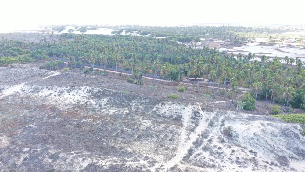 Terreno, 1000 m² - Foto 13