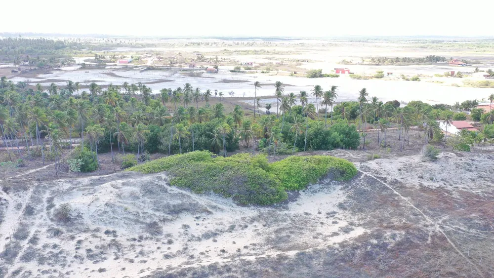 Terreno, 3000 m² - Foto 13