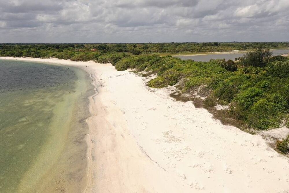 Terreno, 3 hectares - Foto 3