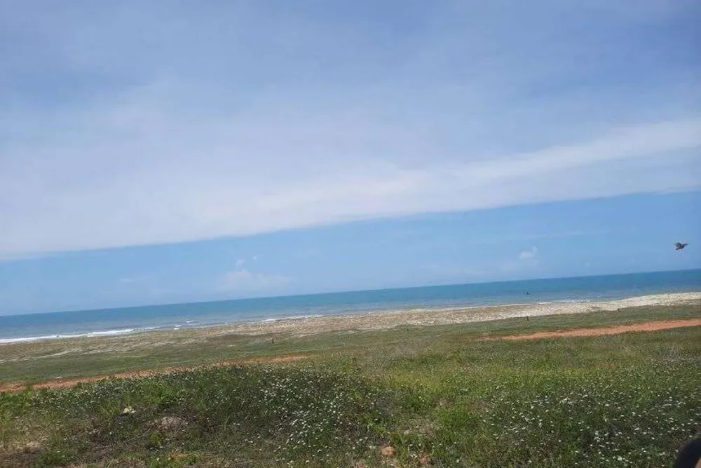 Terreno, 4800 m² - Foto 6