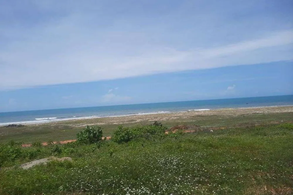 Terreno, 4800 m² - Foto 10