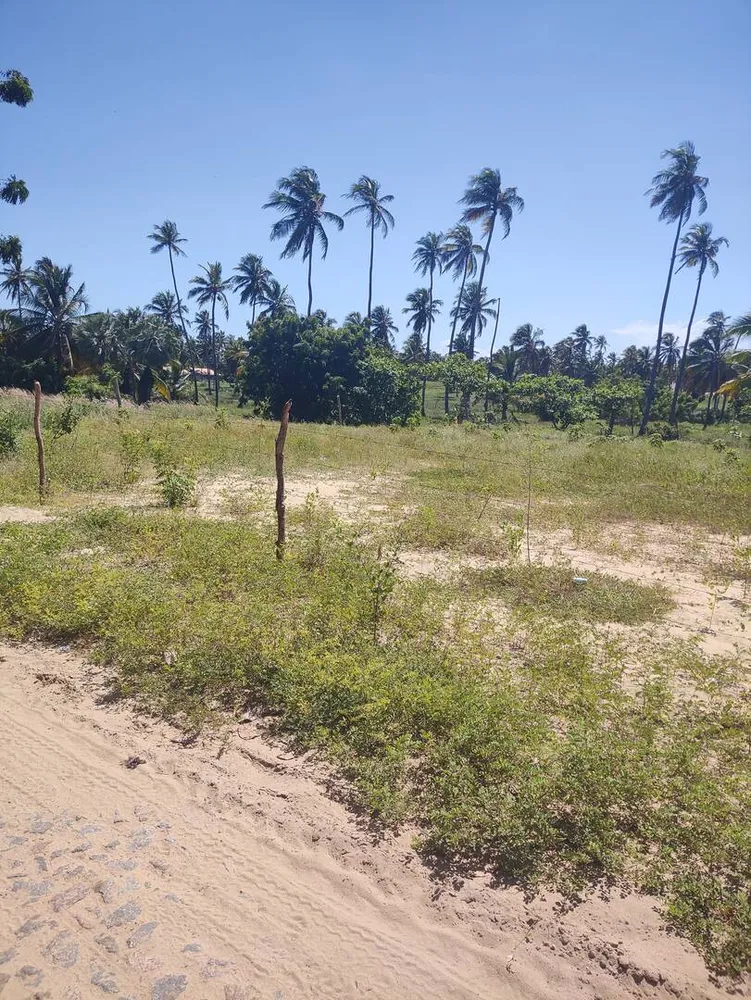 Terreno, 10000 m² - Foto 8