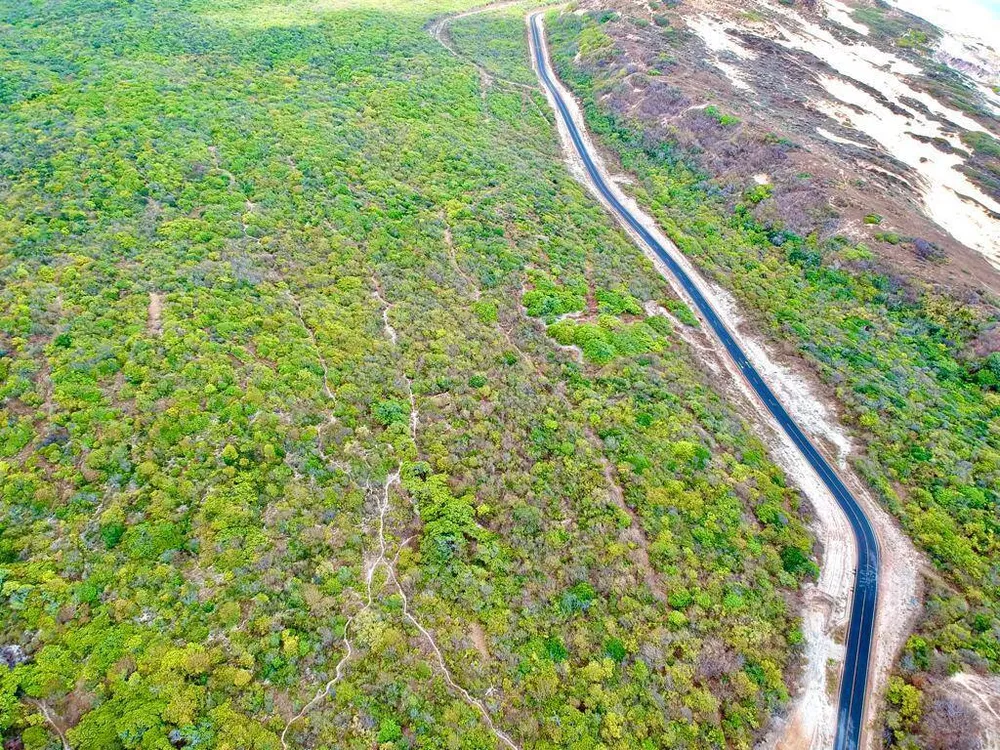 Terreno, 97 hectares - Foto 4