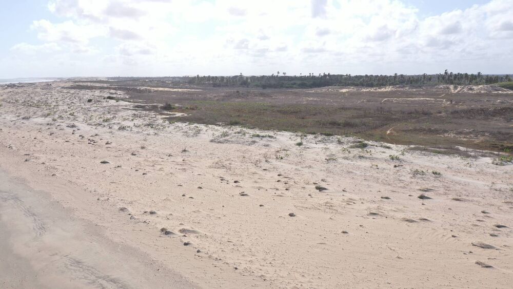 Terreno, 6000 m² - Foto 3