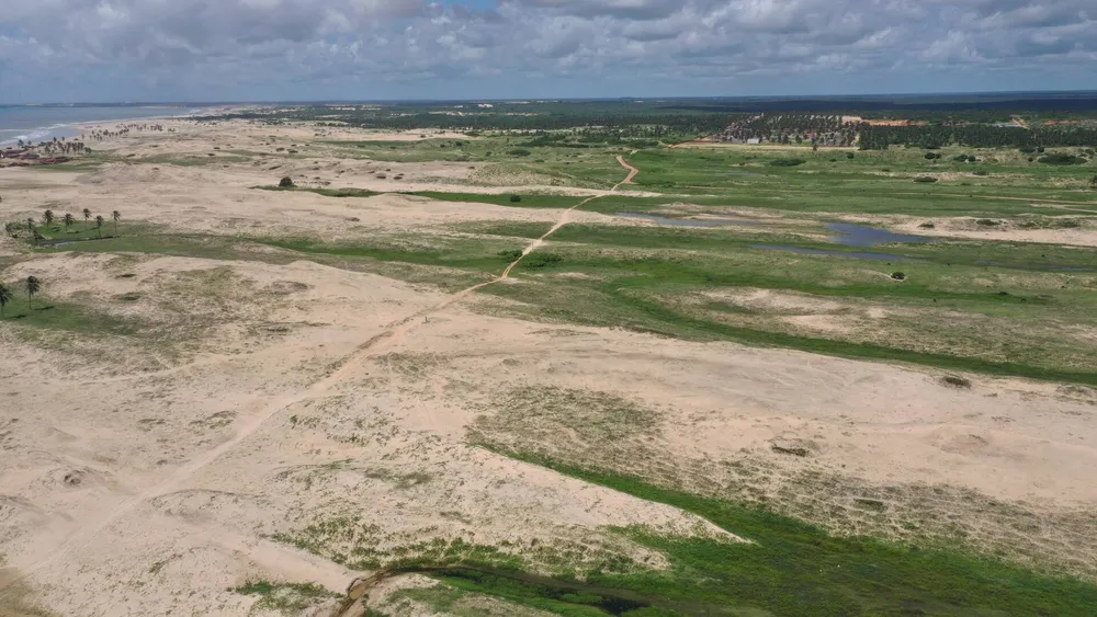 Terreno, 10000 m² - Foto 13