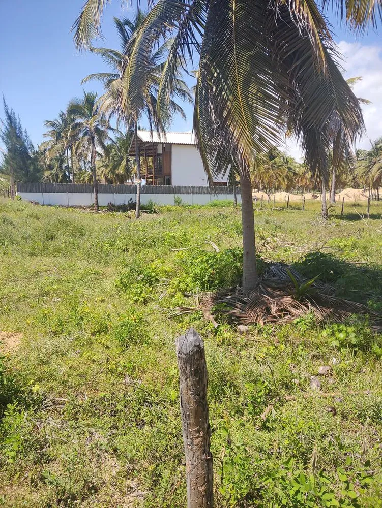 Terreno, 5000 m² - Foto 12