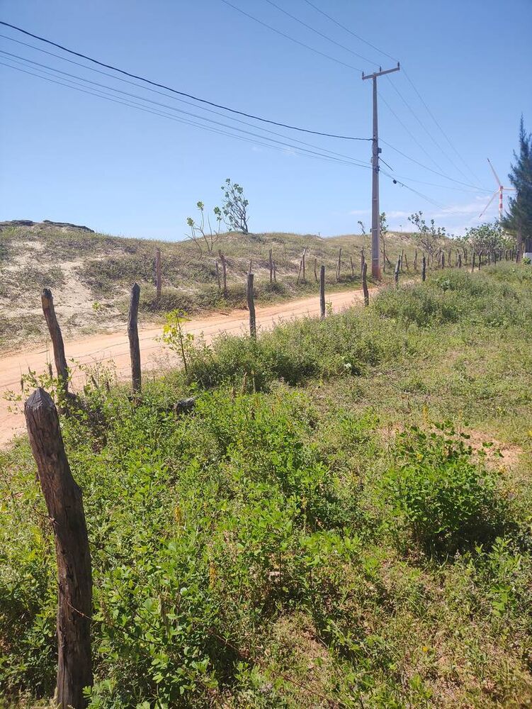 Terreno à venda, 10000m² - Foto 11