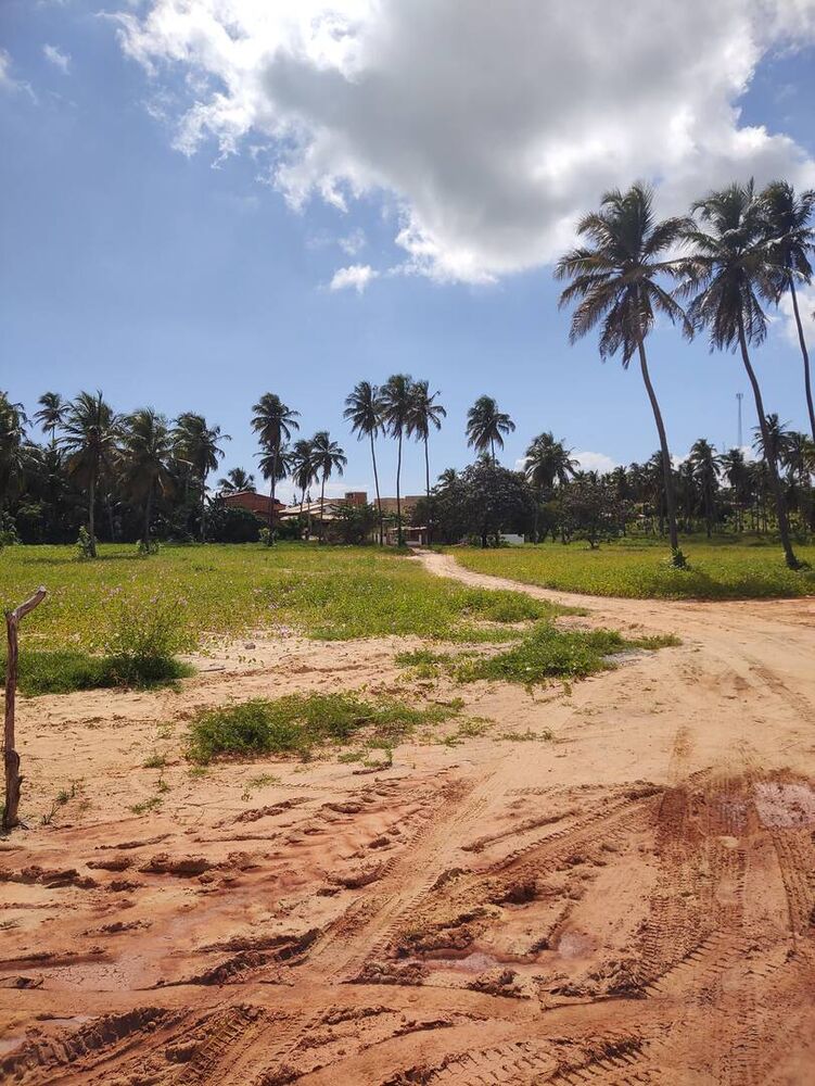 Terreno à venda, 10000m² - Foto 7