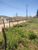 Terreno, 10000 m² - Foto 11