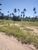 Terreno, 10000 m² - Foto 8