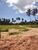 Terreno, 10000 m² - Foto 7