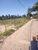 Terreno, 10000 m² - Foto 10