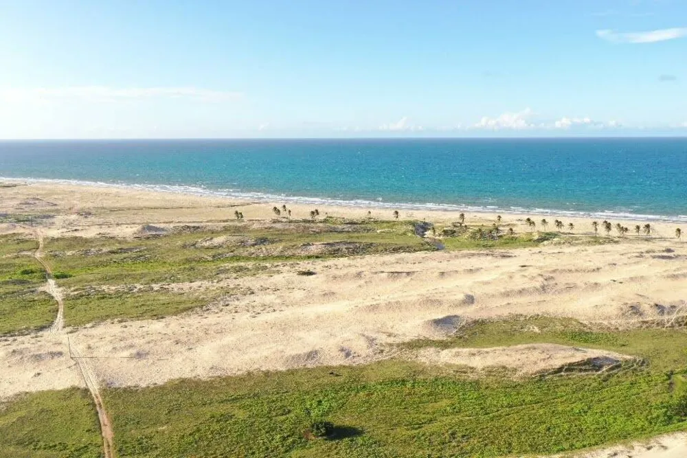 Terreno, 1 hectares - Foto 3