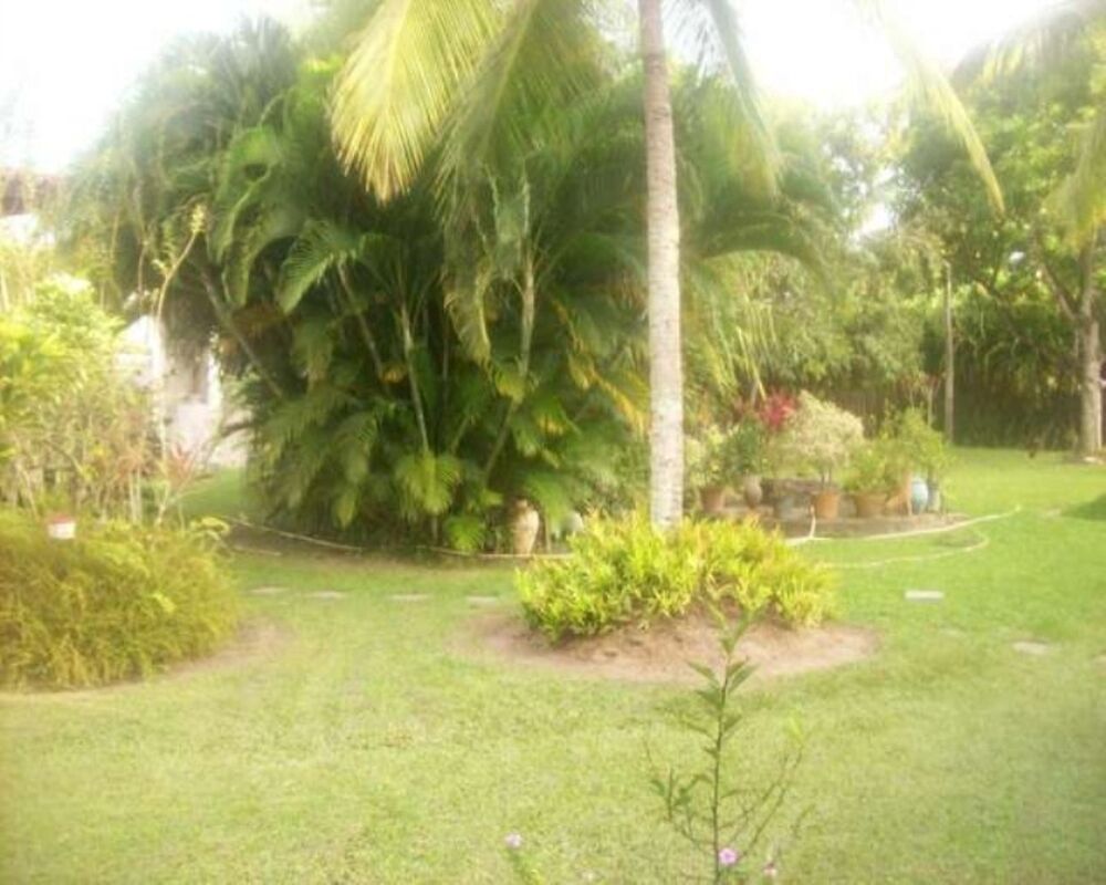 Sítio, 3 quartos, 6500 m² - Foto 16