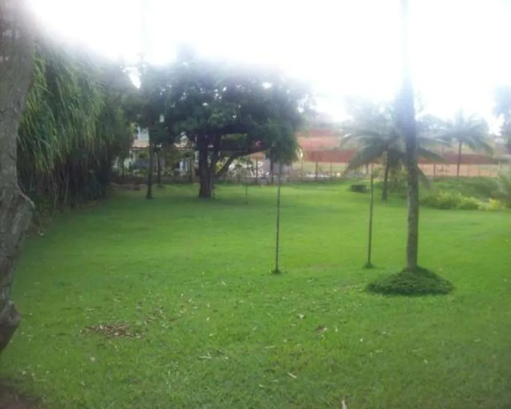 Sítio, 3 quartos, 6500 m² - Foto 2