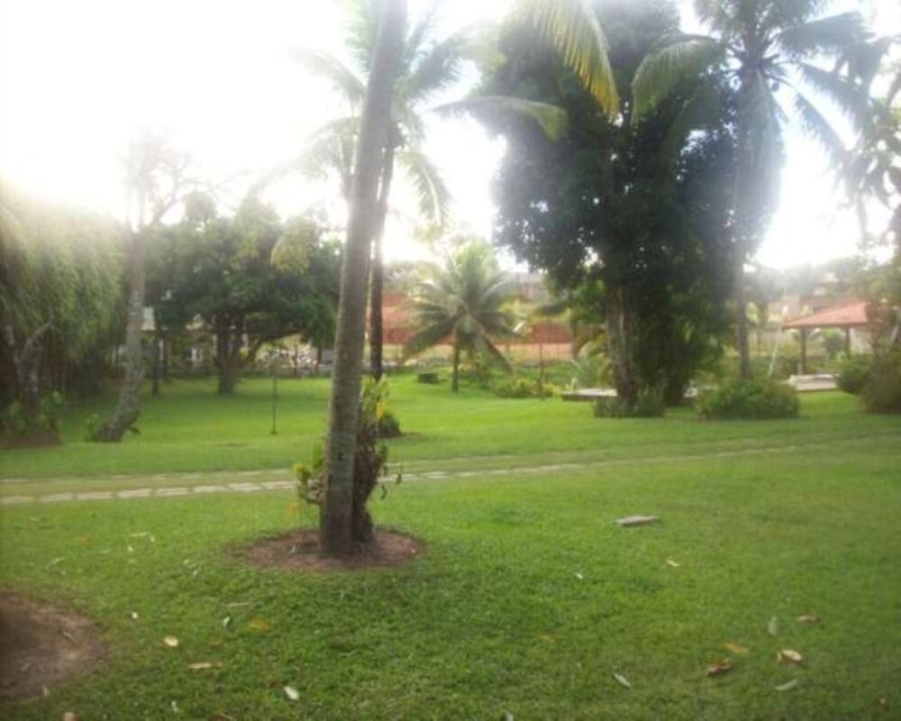 Sítio, 3 quartos, 6500 m² - Foto 20