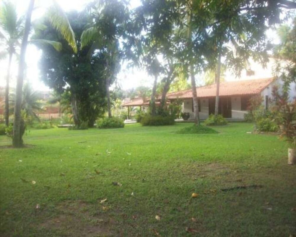 Sítio, 3 quartos, 6500 m² - Foto 18