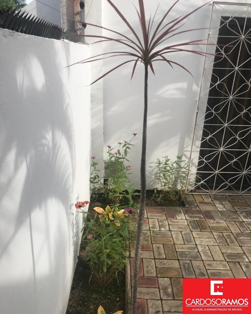 Casa, 4 quartos - Foto 2