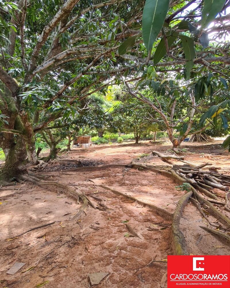 Casa, 5 quartos - Foto 12