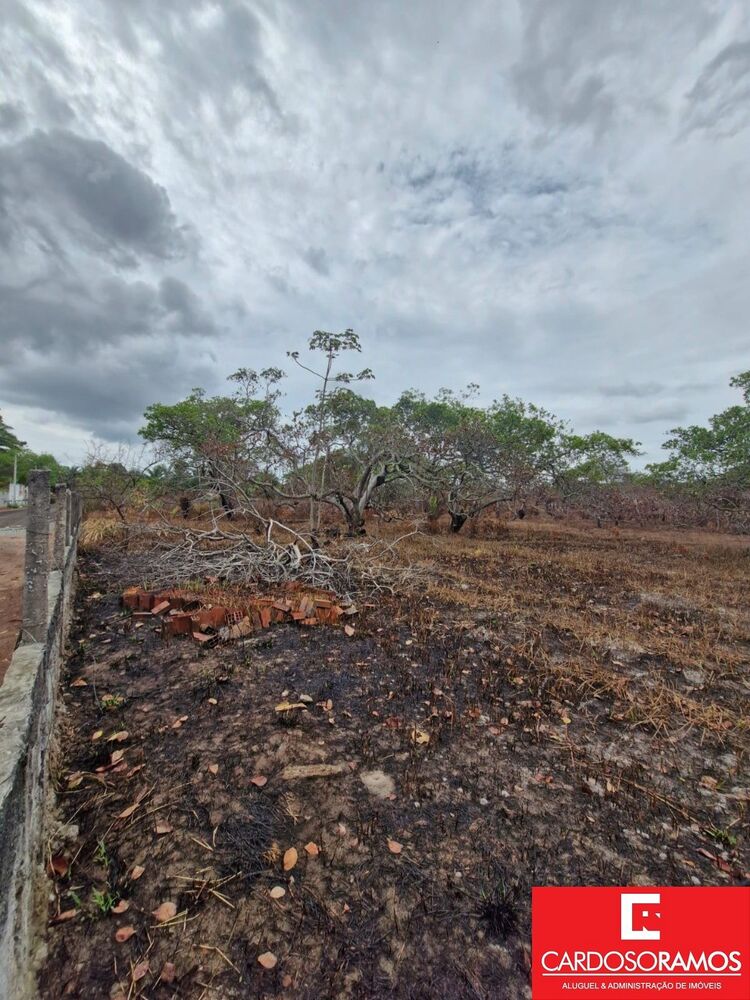 Terreno, 1449 m² - Foto 3