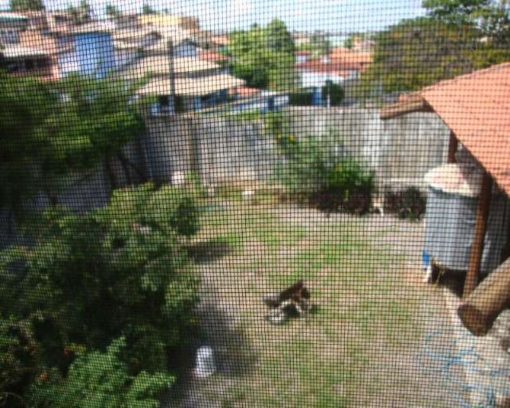 Casa, 4 quartos, 550 m² - Foto 6