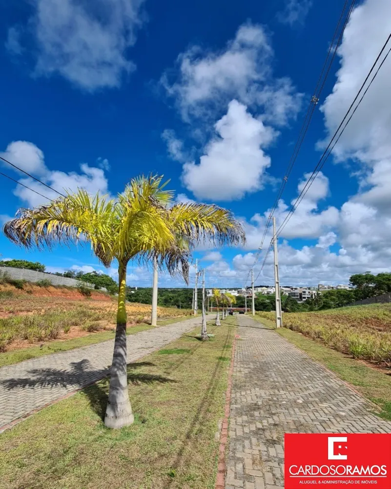 Terreno, 339 m² - Foto 11