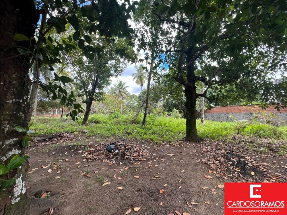 Terreno, 10000 m² - Foto 4