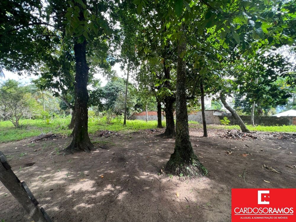 Terreno, 10000 m² - Foto 3