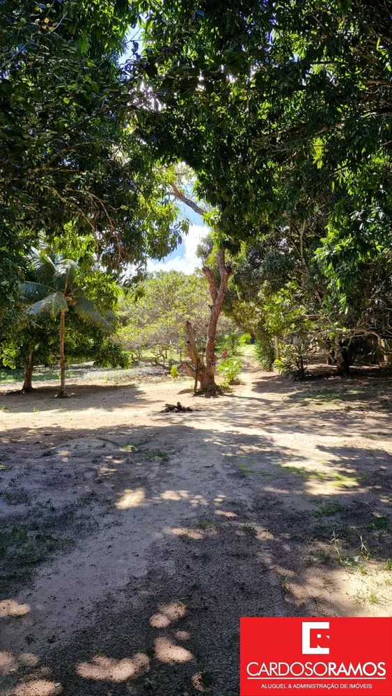 Terreno, 5000 m² - Foto 5