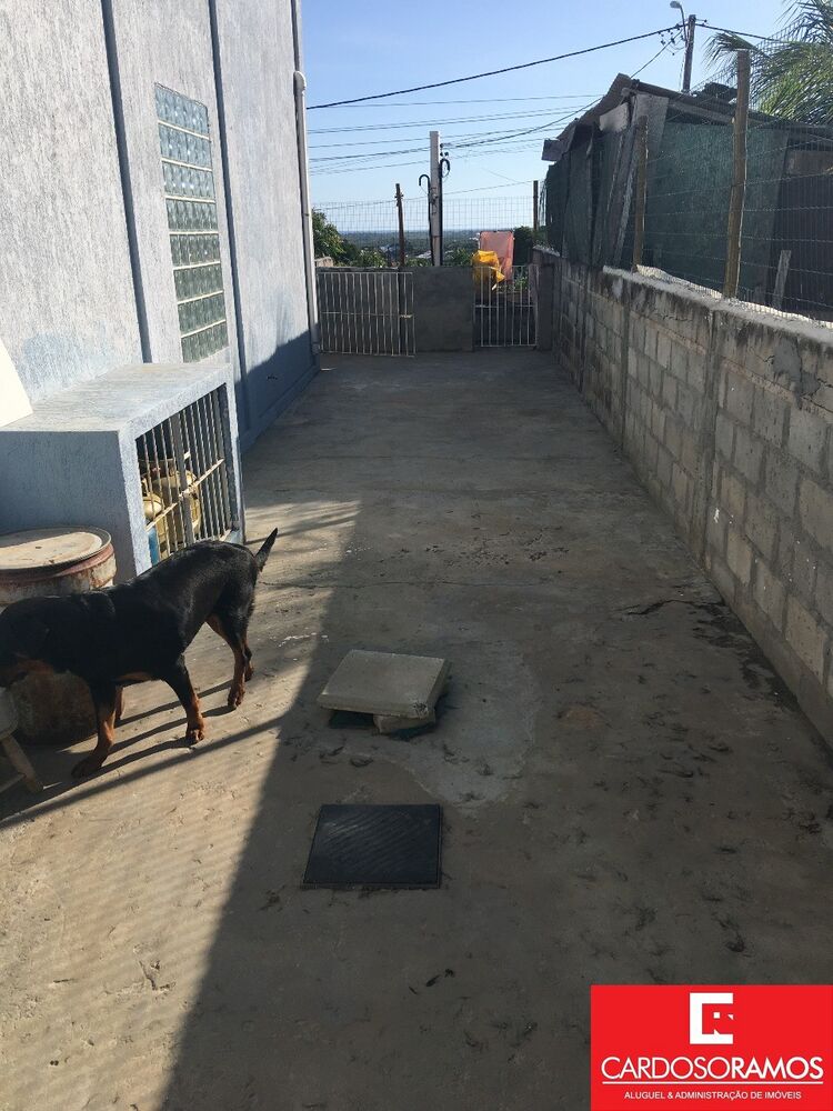 Chácara, 2 quartos, 2284 m² - Foto 3