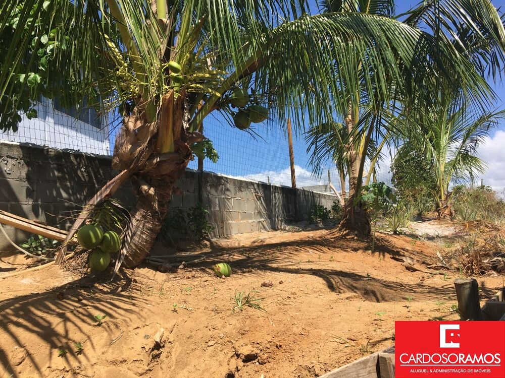 Chácara, 2 quartos, 2284 m² - Foto 20