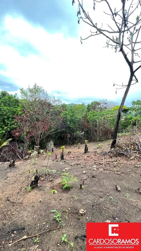 Terreno, 1000 m² - Foto 4