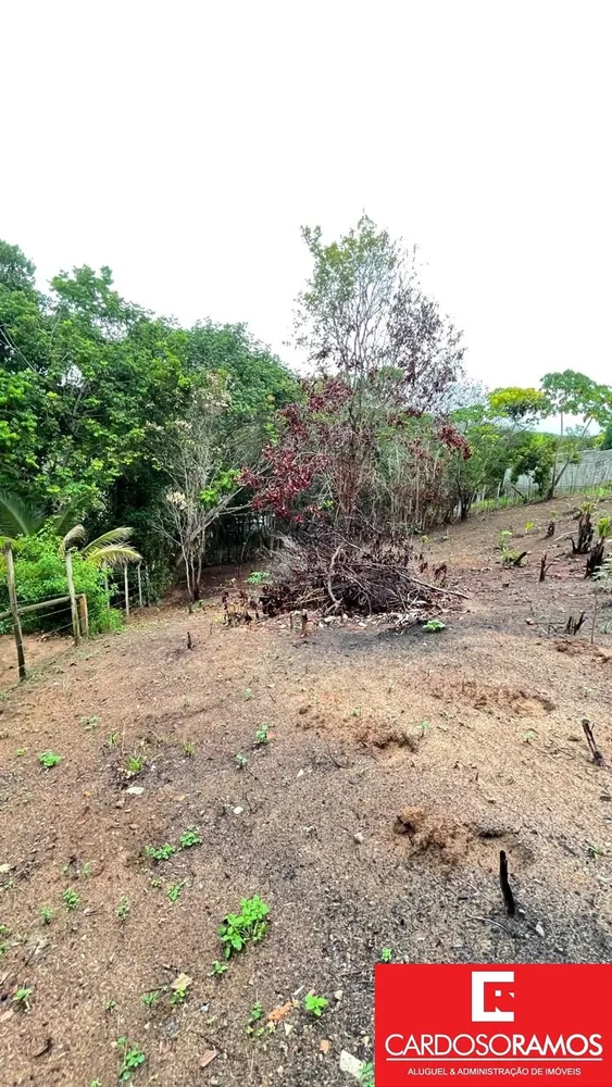 Terreno, 1000 m² - Foto 1