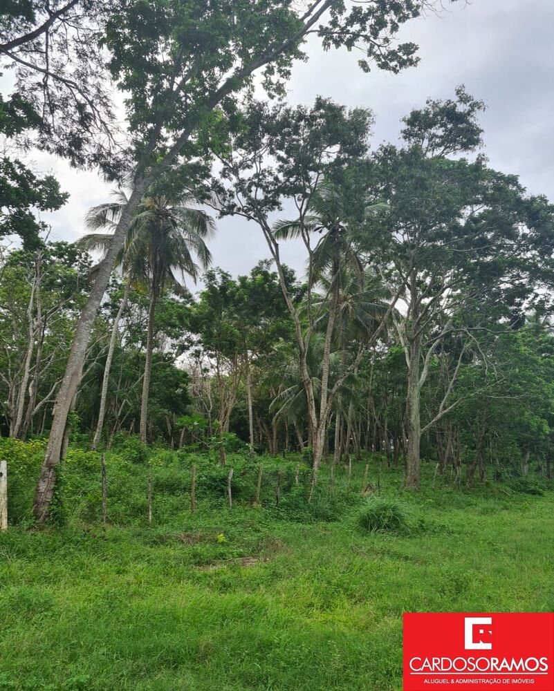 Terreno, 23000 m² - Foto 1
