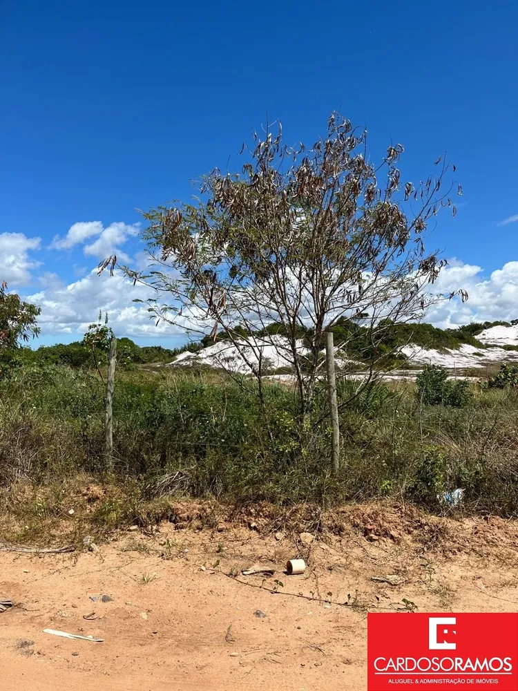 Terreno, 5000 m² - Foto 4