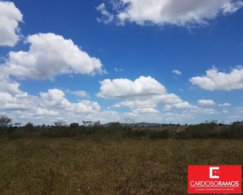 Terreno, 60000 m² - Foto 5