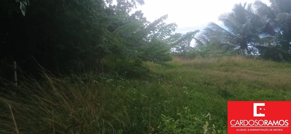 Terreno, 18000 m² - Foto 3