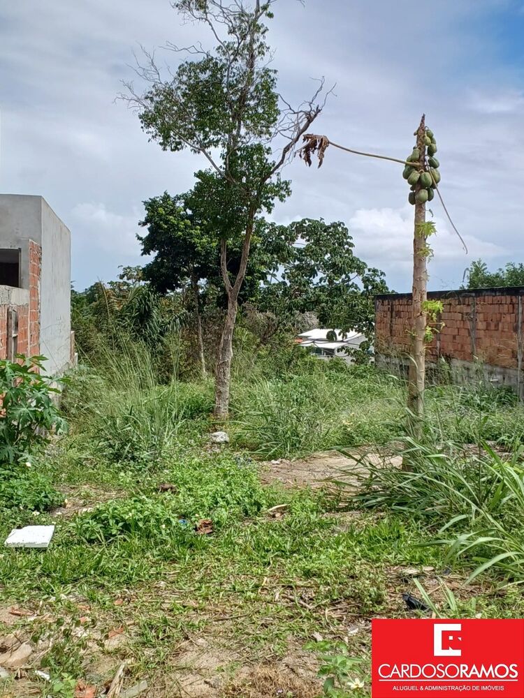 Terreno, 309 m² - Foto 4