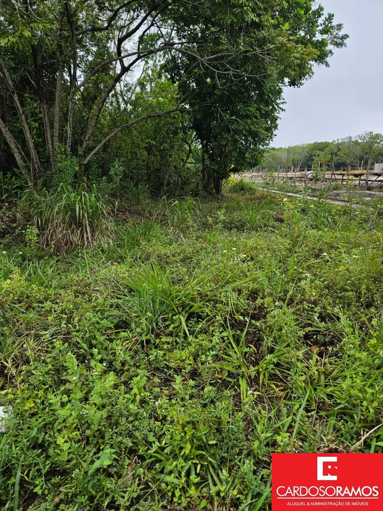 Terreno, 1000 m² - Foto 1